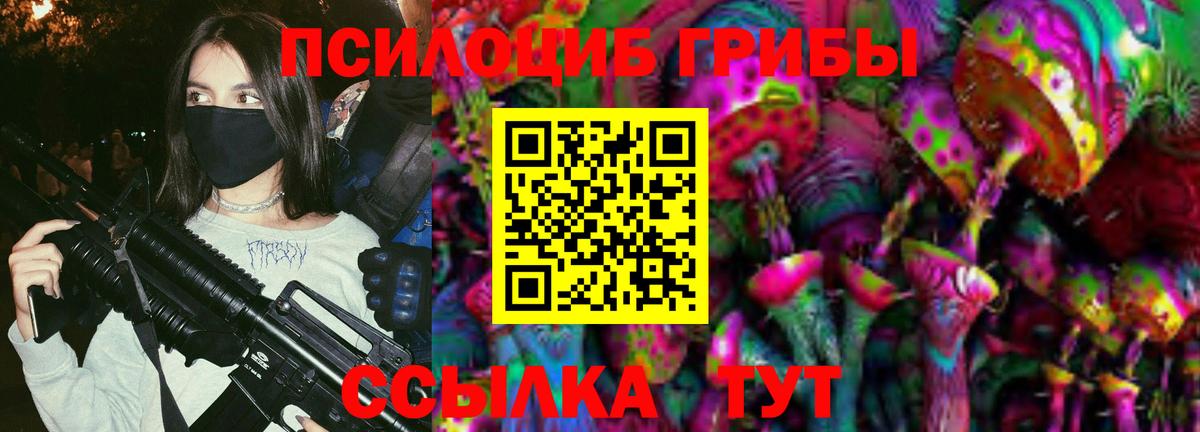Псилоцибиновые грибы Psilocybine cubensis Киселёвск