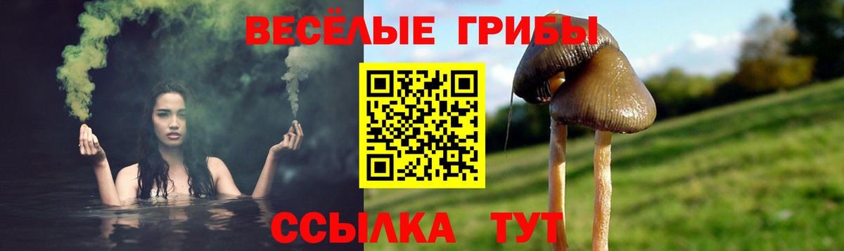 Киселёвск  Галлюциногенные грибы мухоморы  Галлюциногенные грибы Cubensis  Вход с VPN 